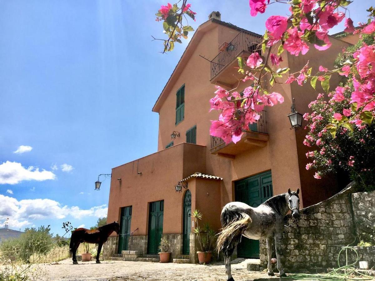 Country Sicily Home Favara Eksteriør billede