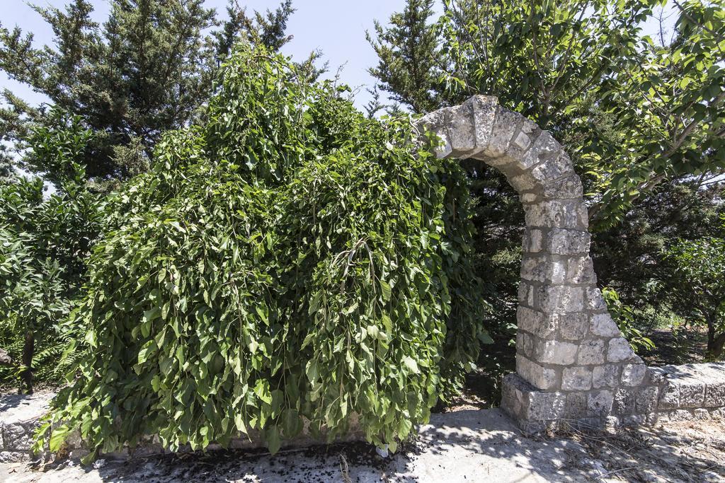 Country Sicily Home Favara Eksteriør billede